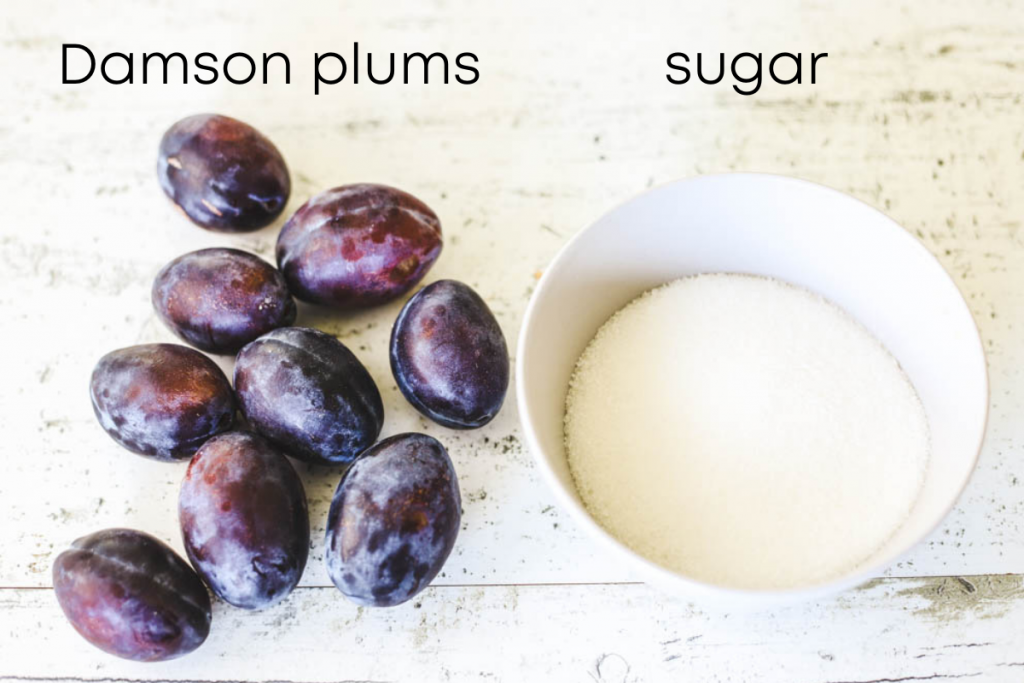 to show ingredients damson plum sorbet